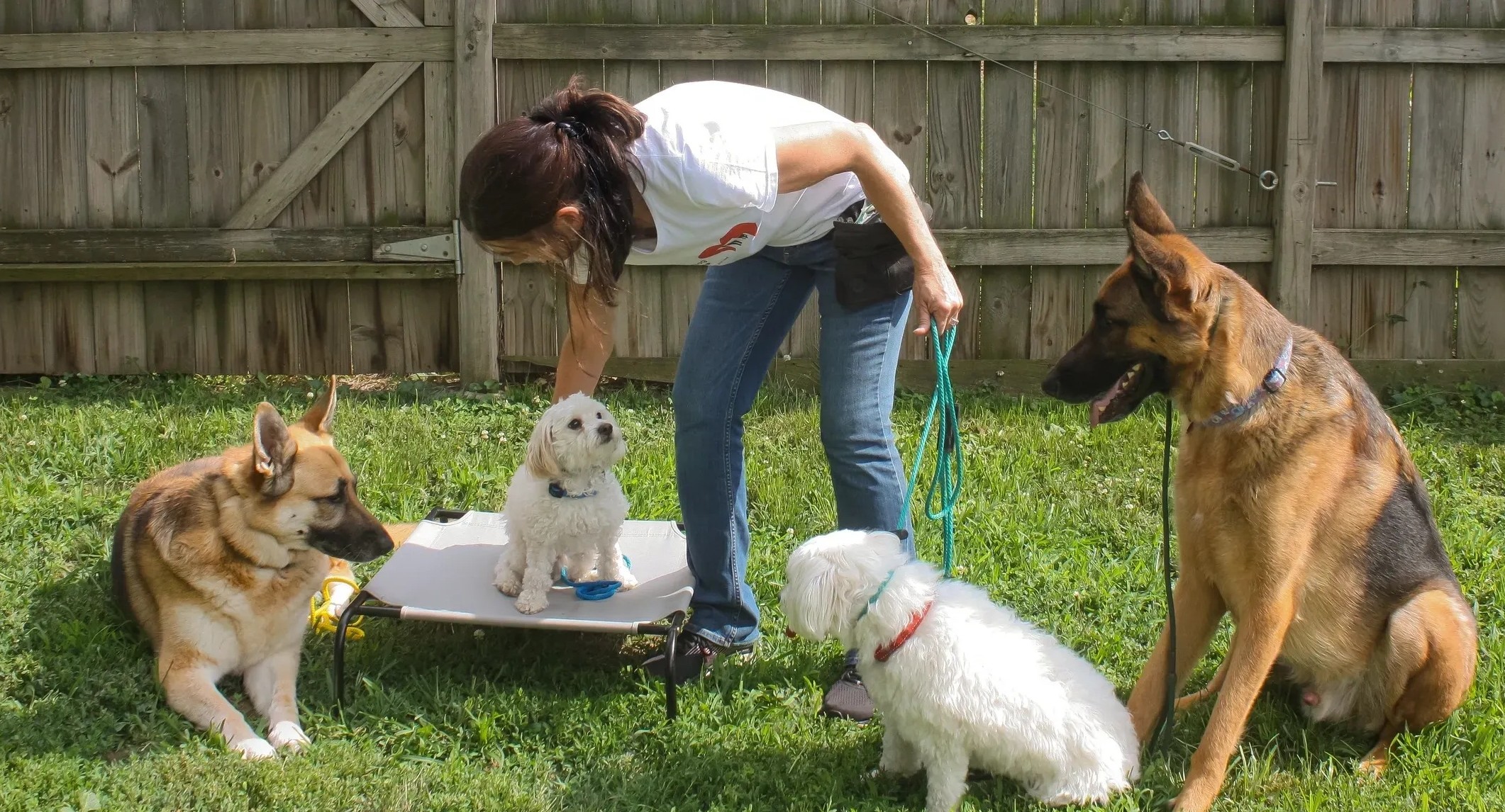 Jackie sitting with a dog.